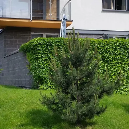 Apartament Franciszka Bohomolca 7 *